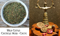 Cistus Creticus Incanus- Pink Rockrose Herb & Labdanum Absolute- Crete