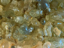 Green Royal Frankincense - Superior Sacra - Oman