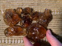  Honey Frankincense Amber Chunks - Oman,  Boswellia Sacra 4 oz