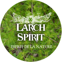 Larch Spirit - Yincense - Esprit de la Nature