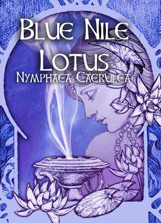 Blue Nile Lotus - Nymphaea Caerulea  - .5oz